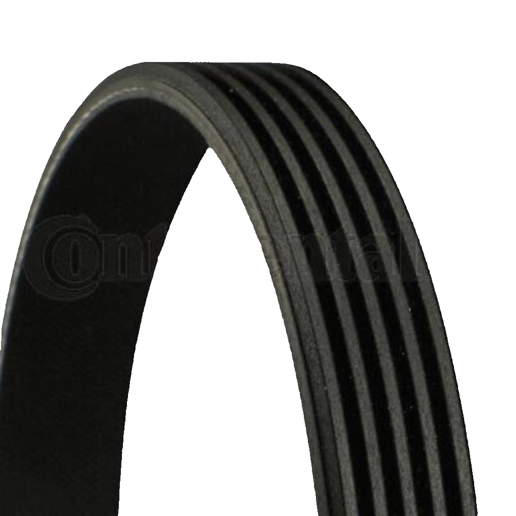 Original CONTINENTAL CTAM V-Ribbed Belt 5PK1015 for Alfa Romeo Citroën