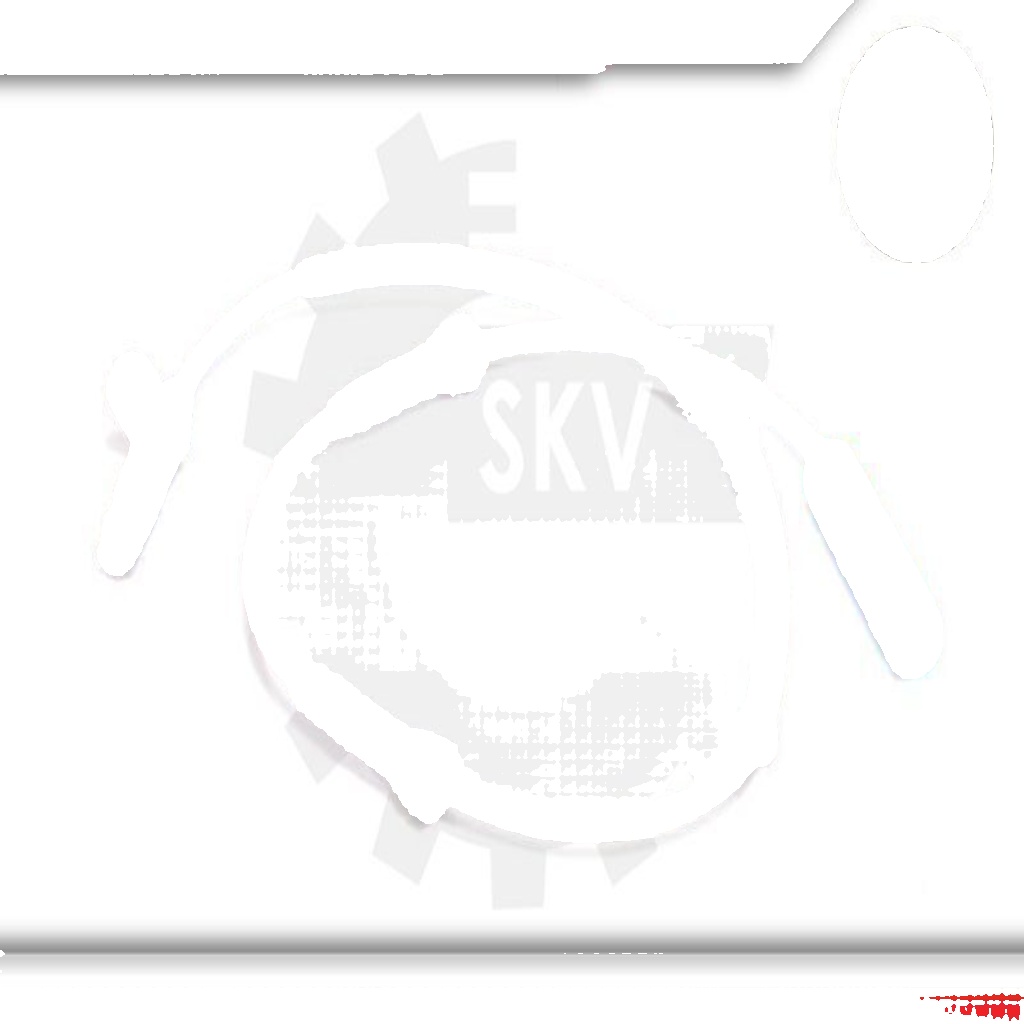 Rear ESEN SKV 06SKV020 Sensor, wheel speed for BMW