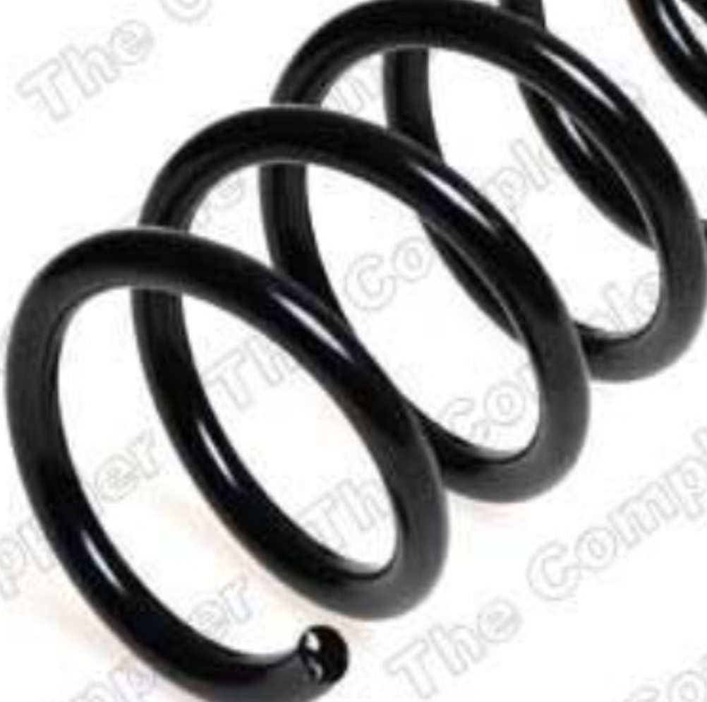 Fits LESJ�FORS 4208425 Coil Spring - Image 8