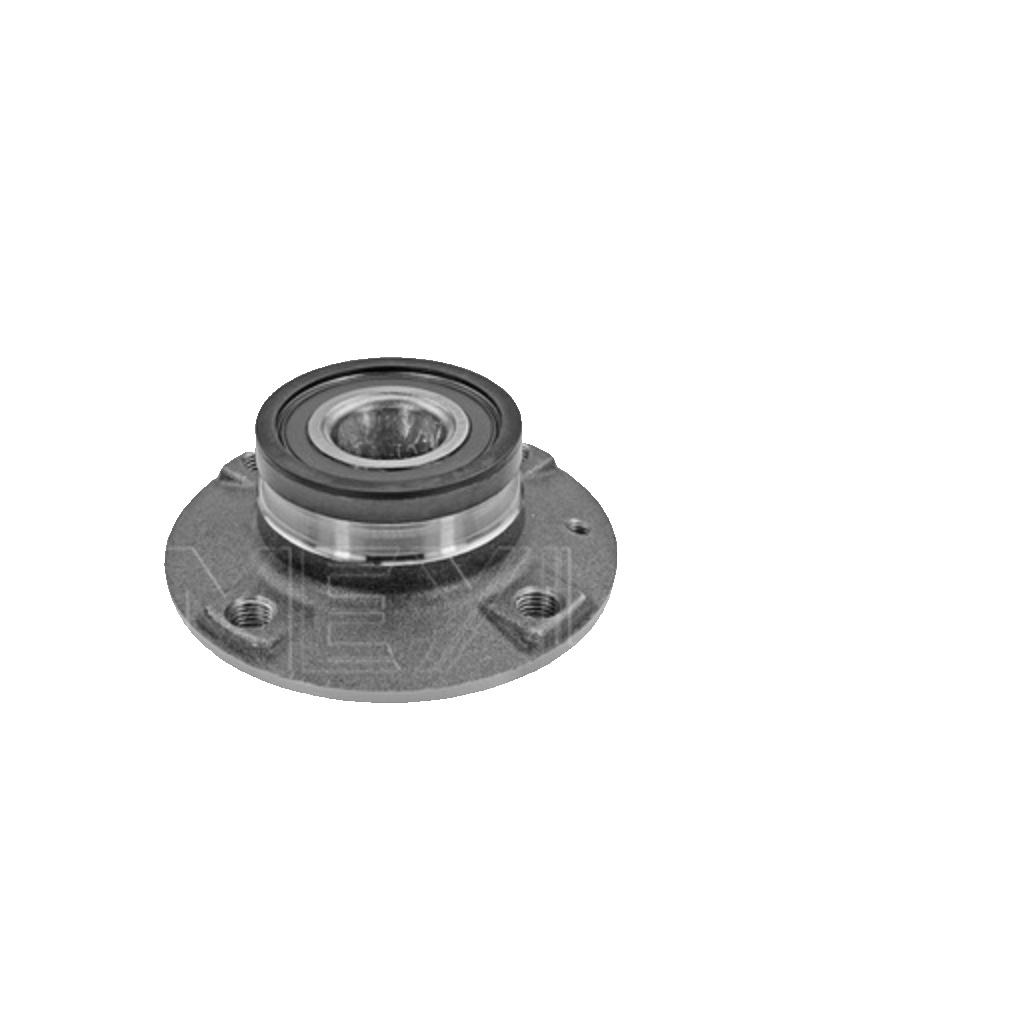 Rear MEYLE GERMANY 100 752 0010 Wheel Hub for SEAT,SKODA,VW