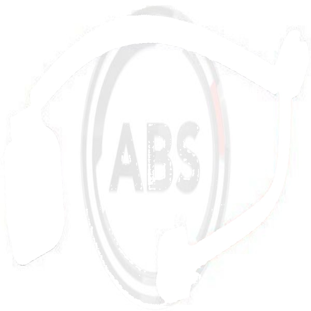 39726 A.B.S. Warning Contact, brake pad wear for AUDI,PORSCHE,VW
