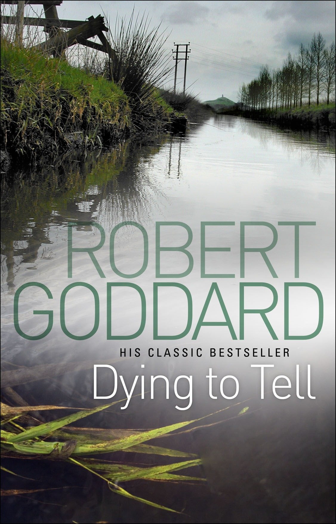 Dying To Tell by Robert Goddard PAPERBACK 9780552164986 - Image 6