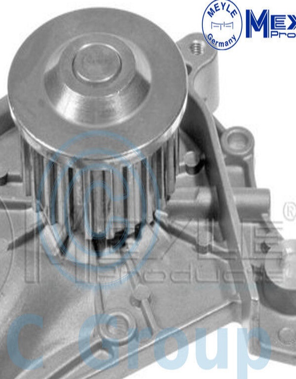 Original MEYLE Water Pump 30-13 161 0012 for Toyota