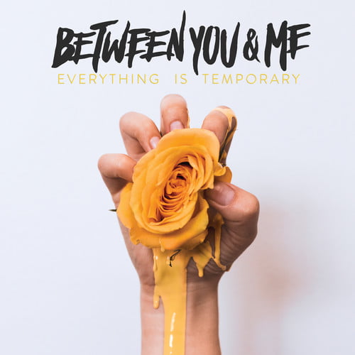 Between You & Me - Everything Is Temporary [LP]