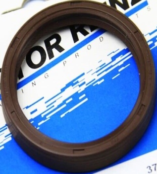 VICTOR REINZ 81-36558-00 Shaft Seal, camshaft for FORD,FORD AUSTRALIA,VOLVO