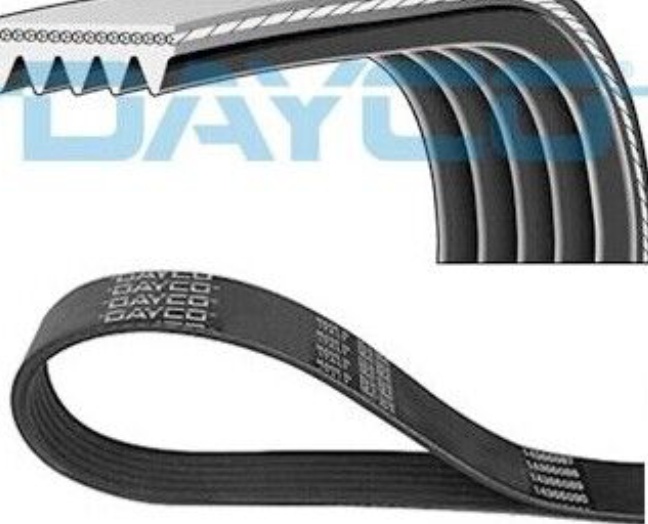 Dayco Poly V-Riem 5Pk897s