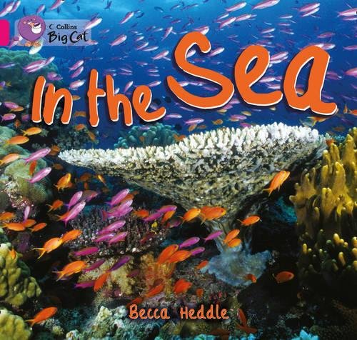 In the Sea: Band 01B/Pink B (Collins Big Cat) by Becca Heddle - Image 4
