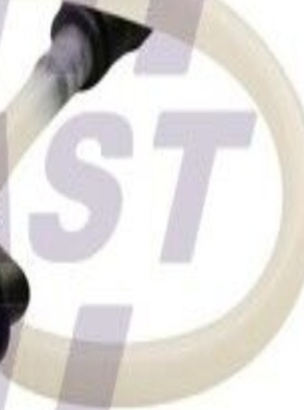 ✅Fits FAST FT39623 FUEL HOSE  ⭐UK Seller⭐ - Image 2