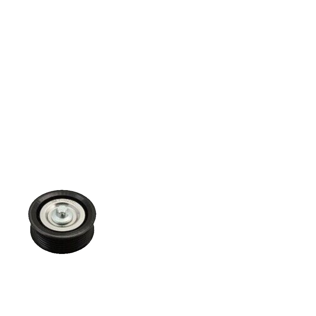 529 0304 10 INA V-Ribbed Belt Set for OPEL,VAUXHALL