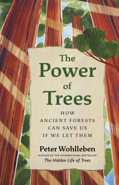 The Power of Trees by Peter Wohlleben, Jane Billinghurst - - Image 4