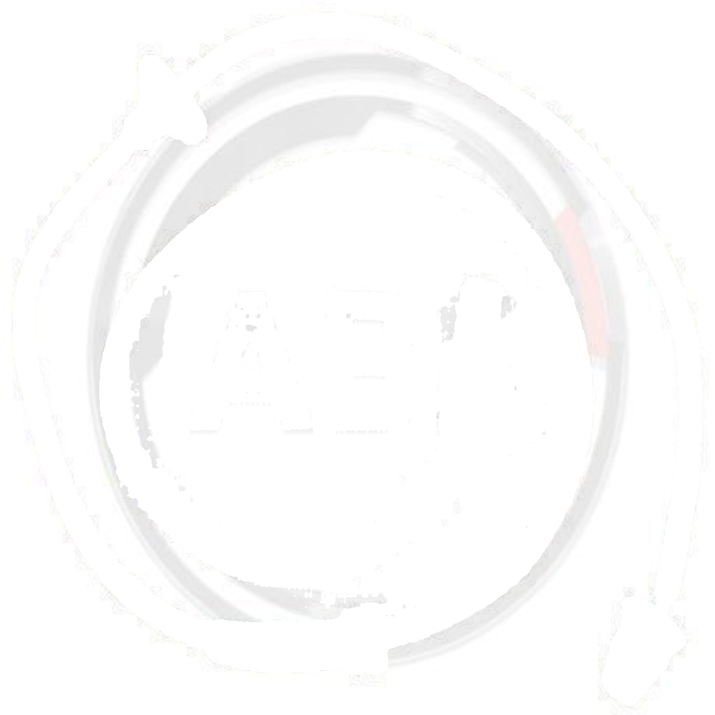 30003 A.B.S. Sensor, wheel speed for VW
