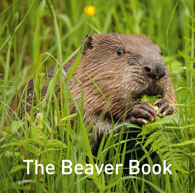 The Beaver Book (Nature Book Series) - Image 8