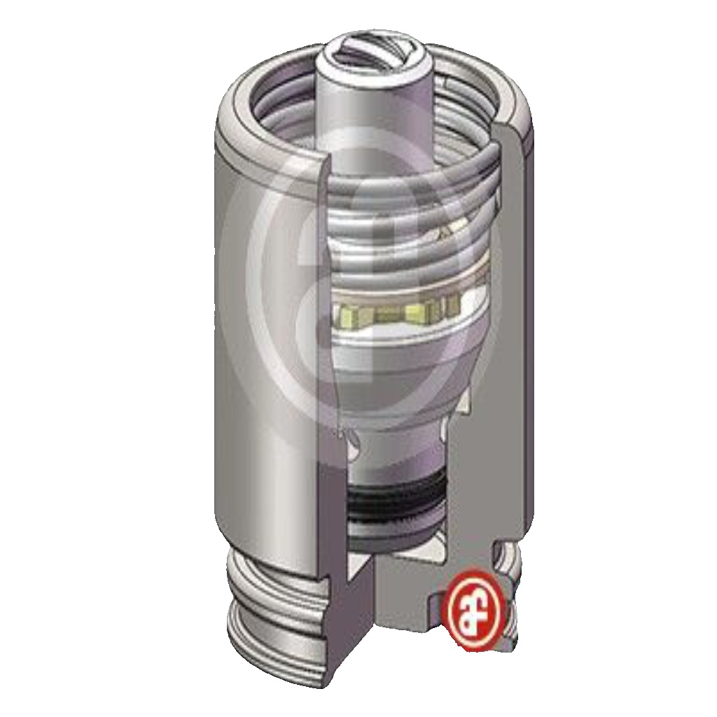 Rear AUTOFREN SEINSA D025251K Piston, brake caliper for ,CADILLAC,CITROËN,FORD,I