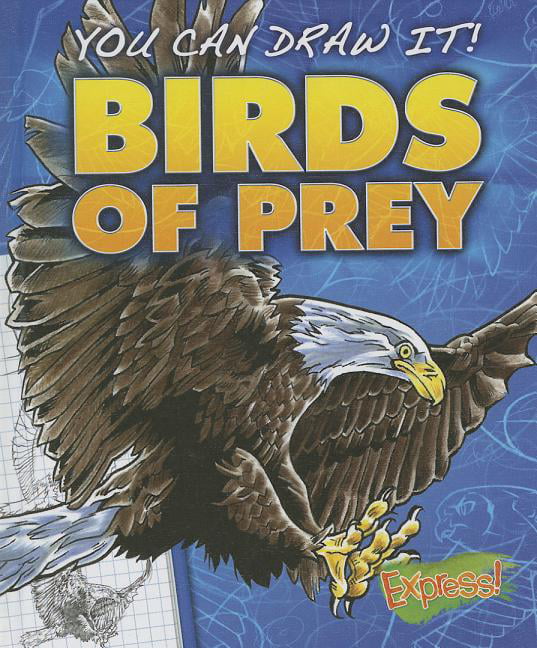 Birds of Prey by Jon Eppard 9781626170964 NEW Free UK Delivery - Image 5