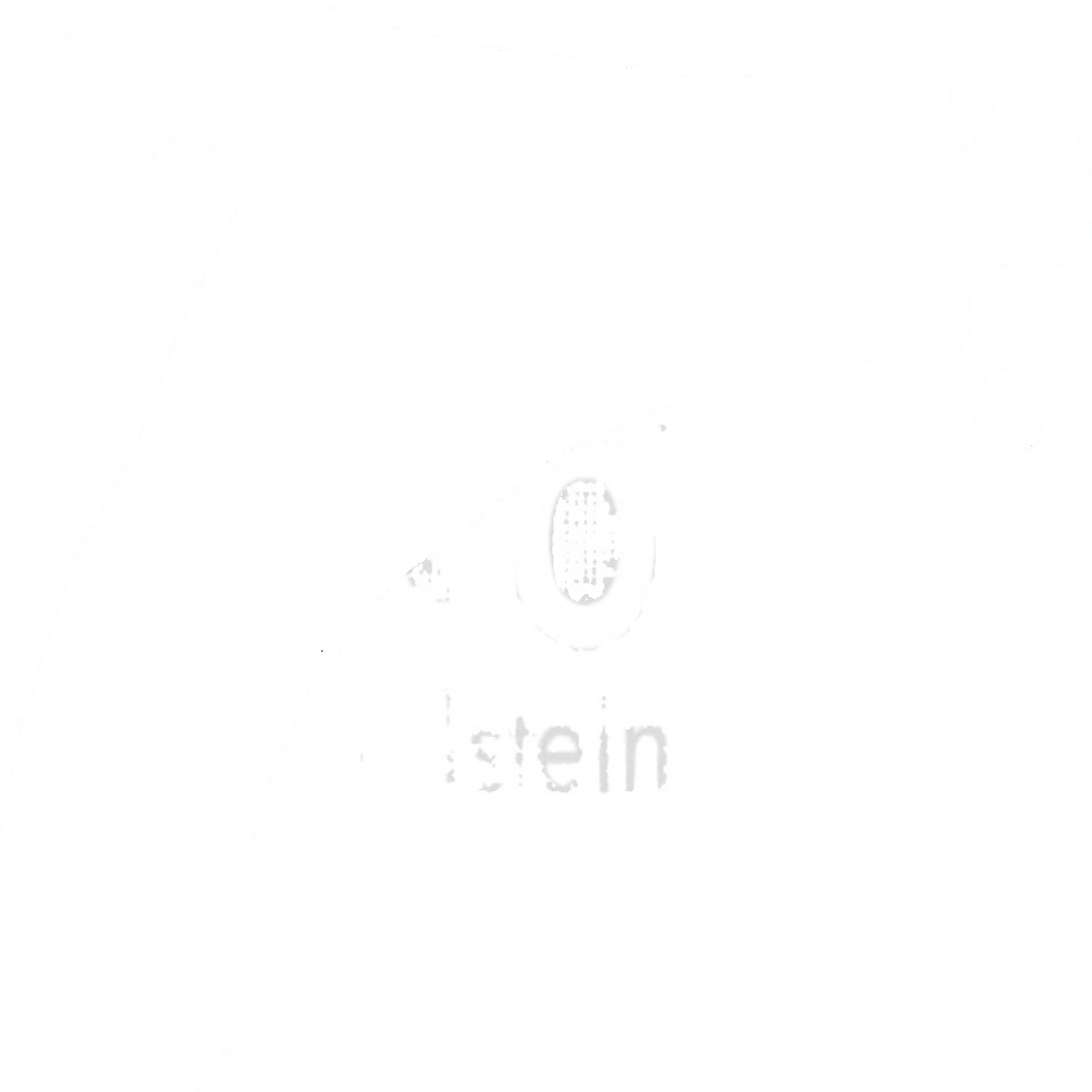 FEBI BILSTEIN 30606 Wheel Suspension Control Trailing Arm Front Right Lower