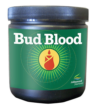 Advanced Nutrients Bud Blood Sachet 40g - Flower Enhancer - Reseller