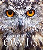 A Parliament of Owls By Mike Unwin, David Tipling