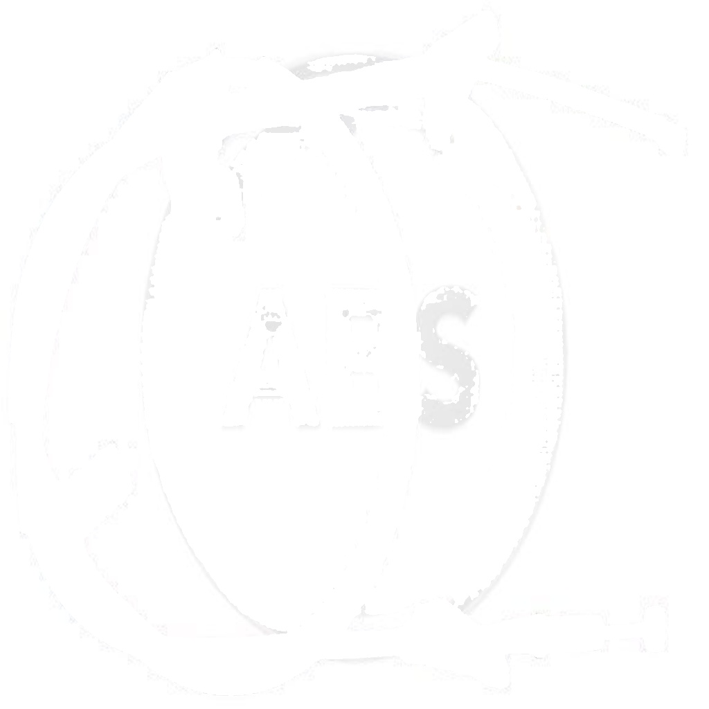 K19117 A.B.S. Cable, parking brake for HONDA
