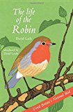 The Life of the Robin: Voted Britain's National Bird - Image 2