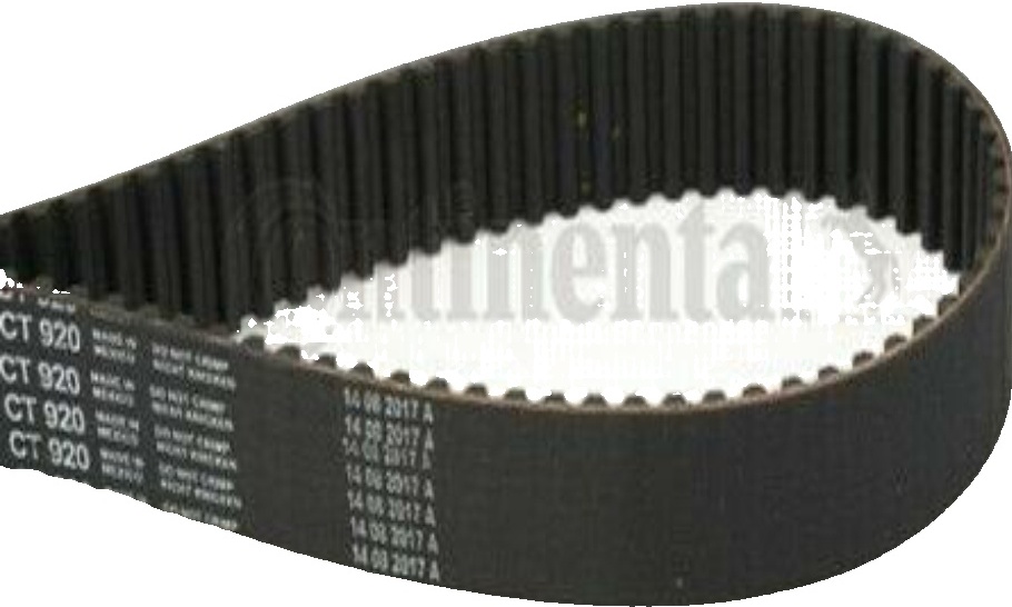 CT920 CONTINENTAL CTAM Timing Belt for ,AUDI,SKODA,VW