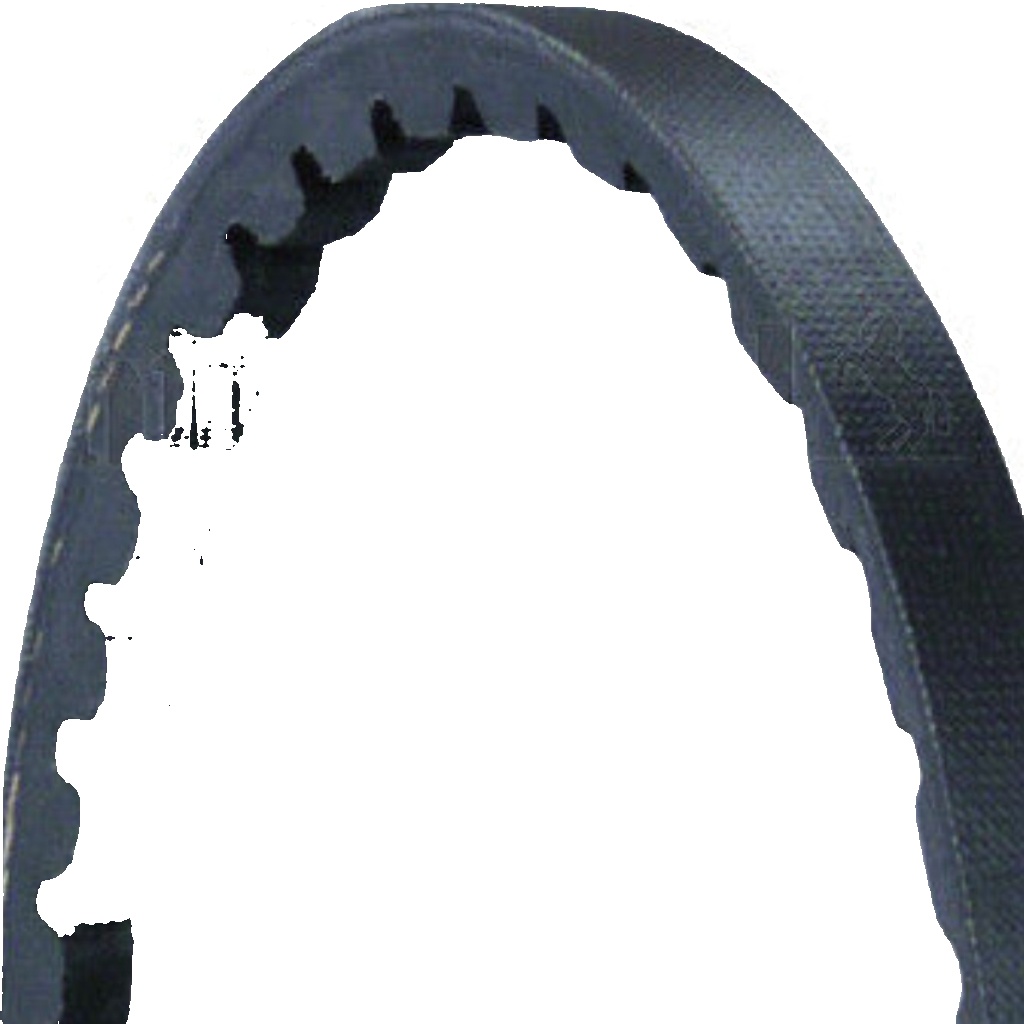 Original Continental CTAM V-Belt AVX10X775 for Alfa Romeo Audi Austin