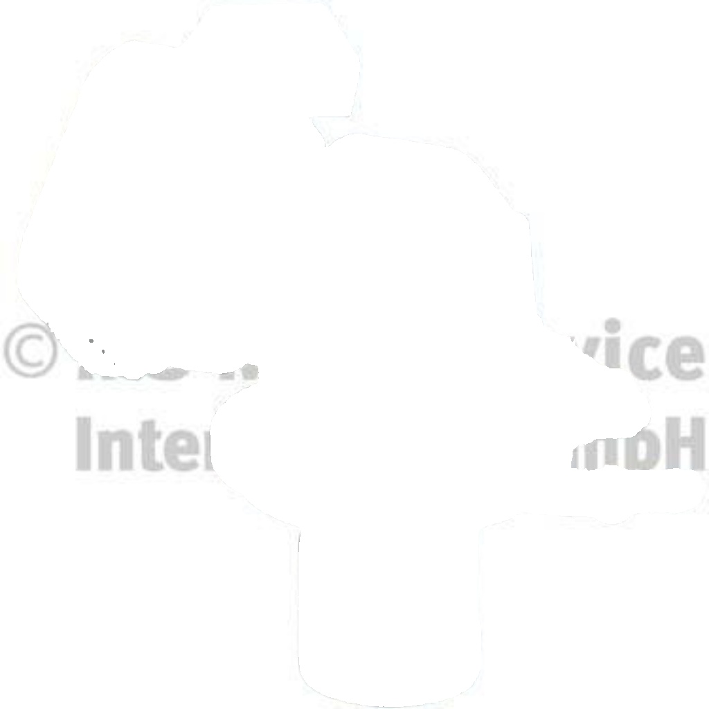 PIERBURG-OE 7.24809.33.0-OE EGR Valve for MERCEDES-BENZ