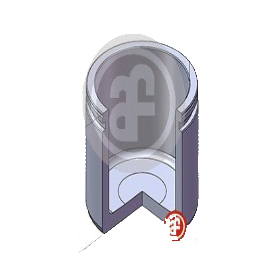 ✅Fits AUTOFREN SEINSA D02569 BRAKE CALIPER PISTON. CITROEN,OPEL,PEUG ⭐UK Seller⭐