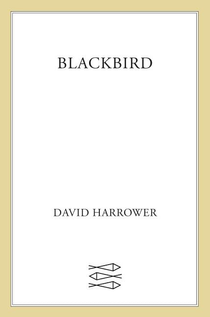Blackbird