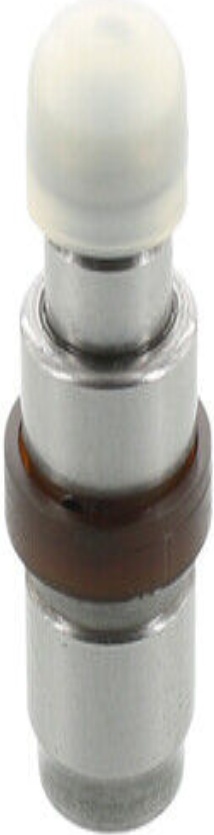 420 0227 10 INA Tappet for BMW