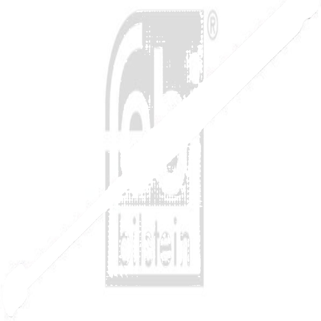 FEBI BILSTEIN GAS SPRING, BOOT/CARGO AREA BOTH SIDES OPEL VAUXHALL MERIVA