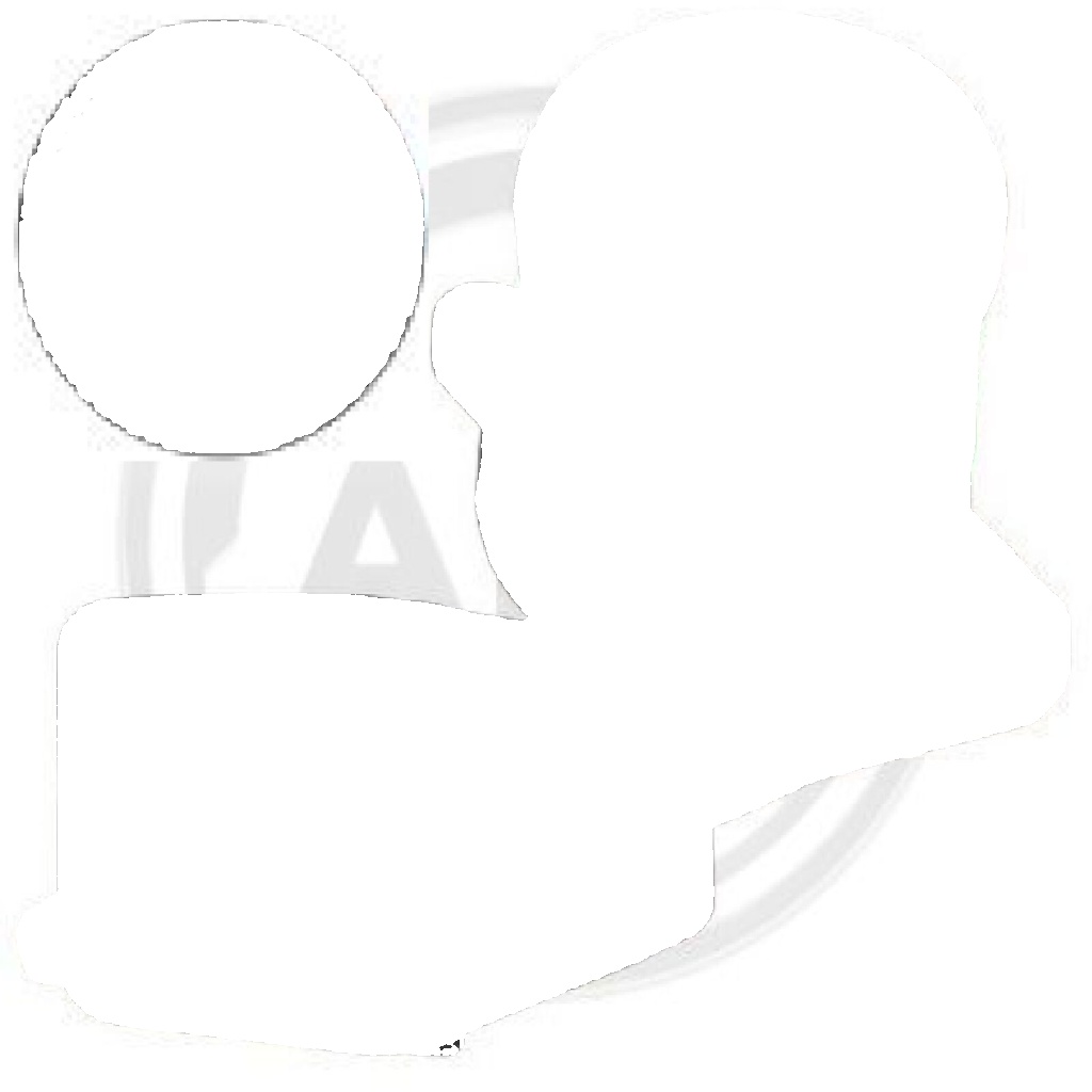 41367 A.B.S. Central Slave Cylinder, clutch for MITSUBISHI,RENAULT,VOLVO