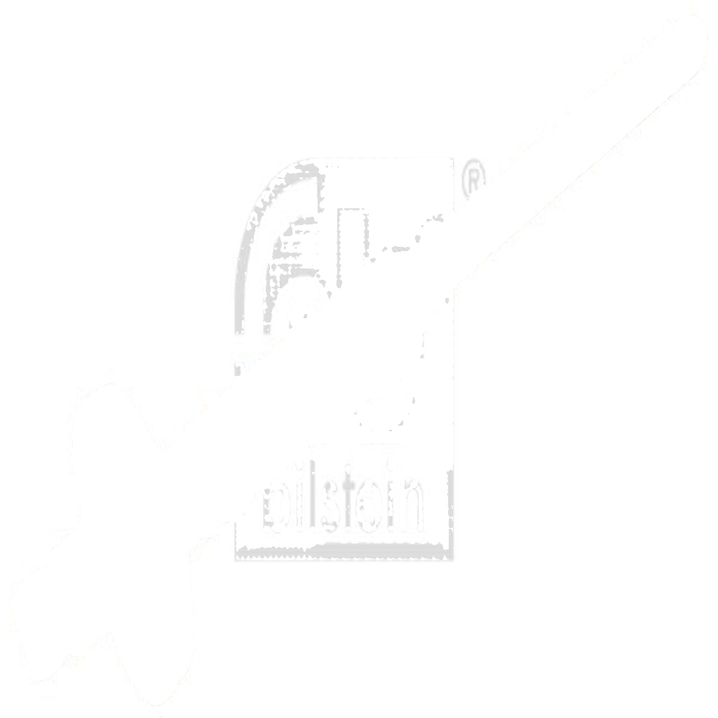 Febi Bilstein Blindniet 104111 Für Seat - Image 2