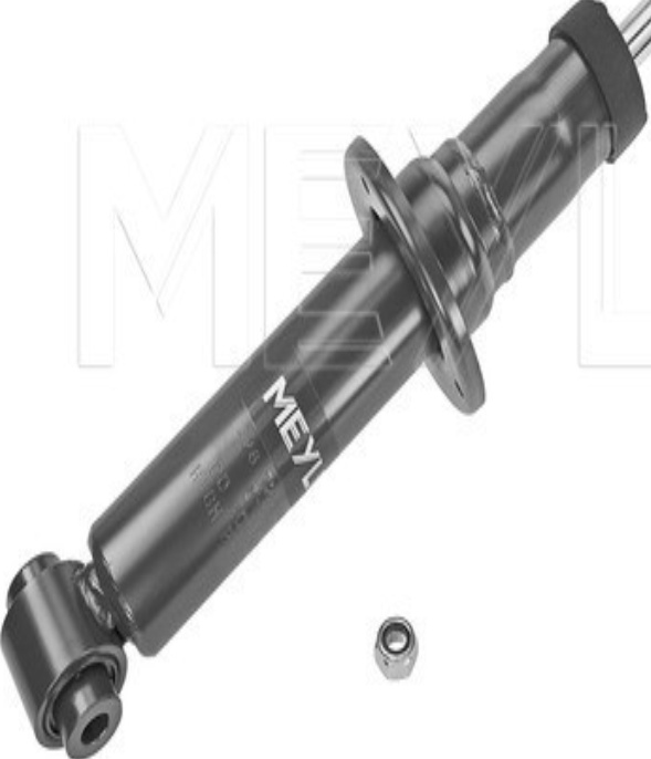 326 725 0031 MEYLE Shock Absorber for BMW