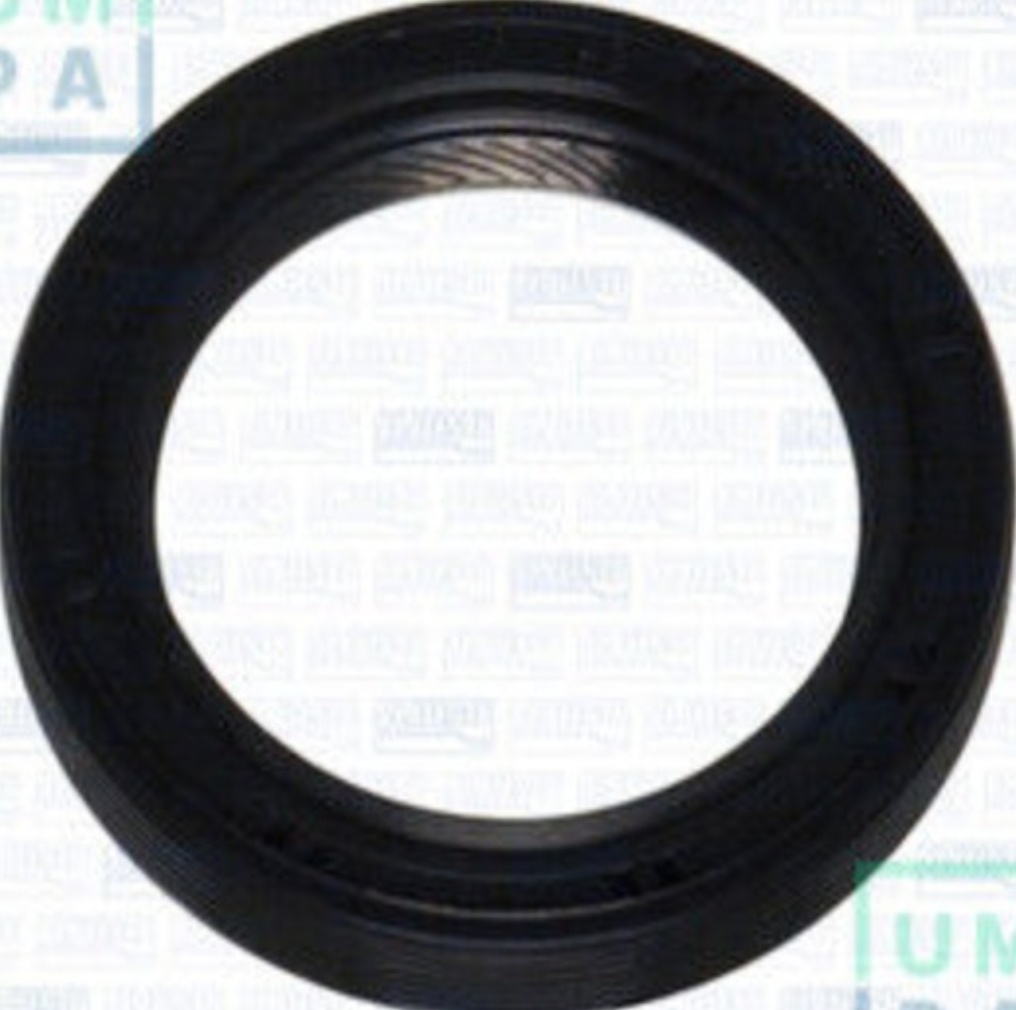 Timing End AJUSA 15019300 Shaft Seal, crankshaft for SEAT,SKODA,VW