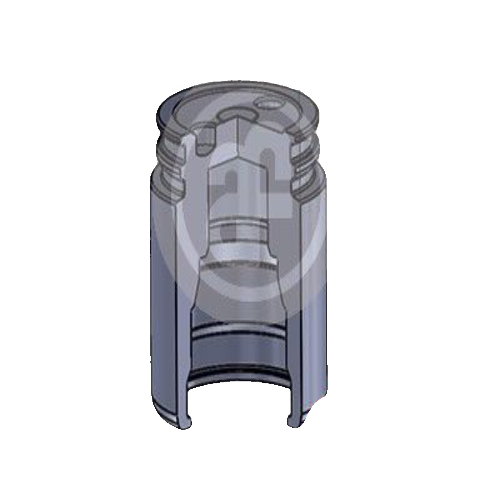 Rear AUTOFREN SEINSA D025251 Piston, brake caliper for ,CADILLAC,CITROËN,FORD,IS