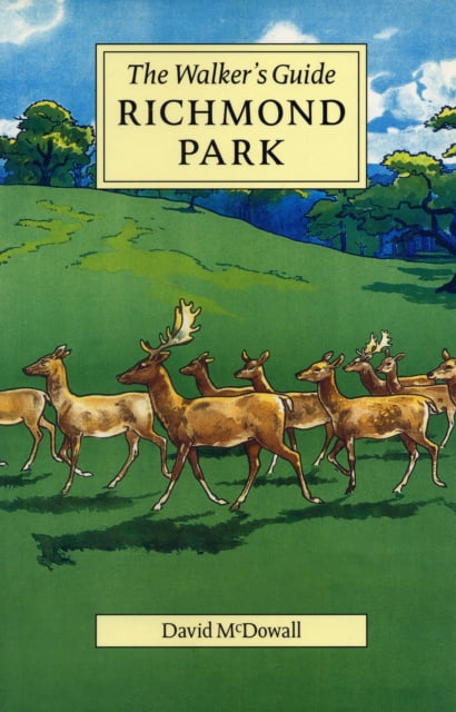Richmond Park by David McDowall - - Image 5