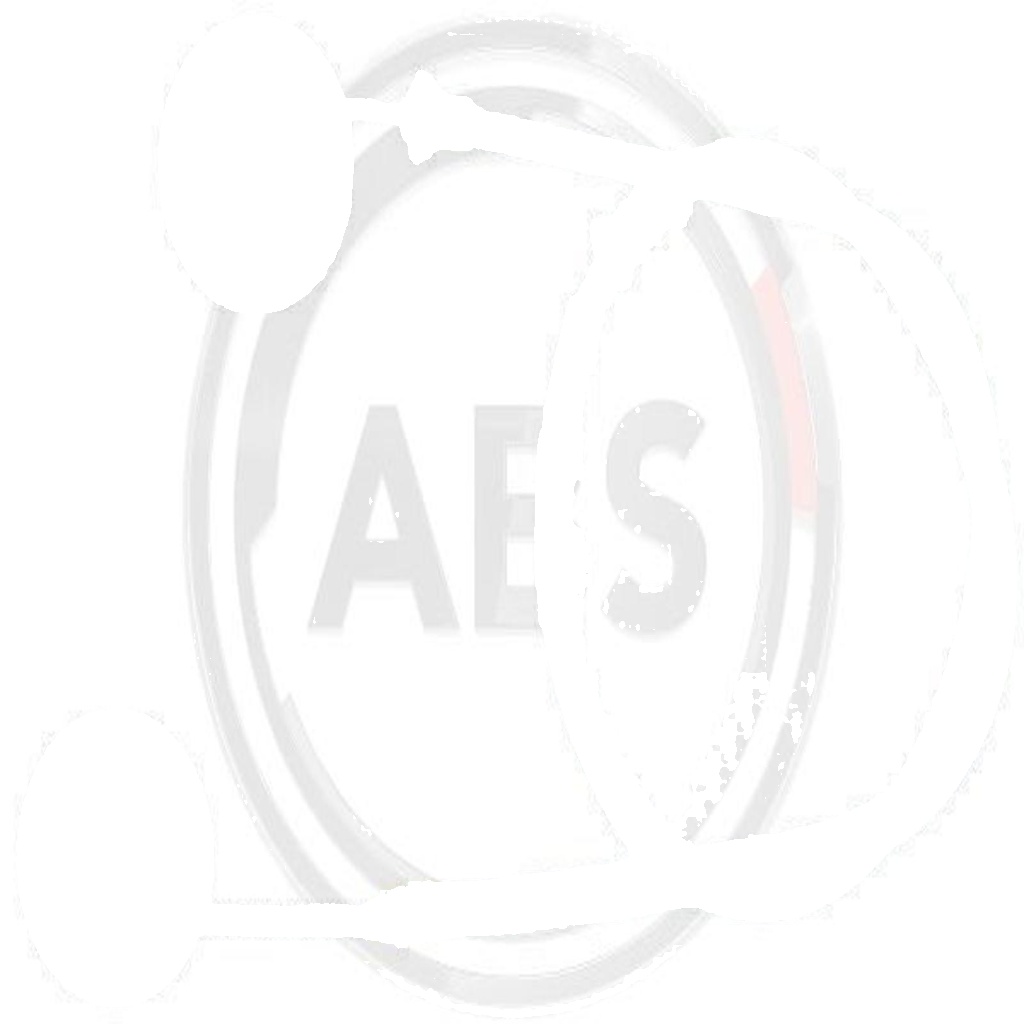 Original A.B.S. Cable Pull Parking Brake K13106 for Fiat Lancia