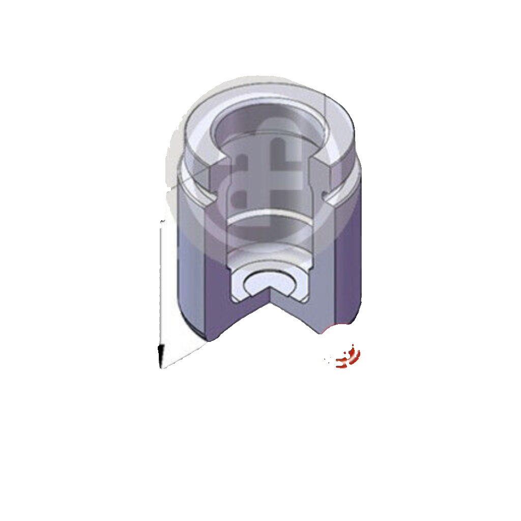 AUTOFREN SEINSA D025689 Piston, brake caliper for VOLVO