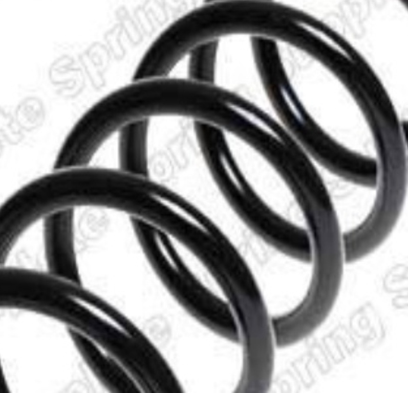 Suspension Coil Spring Front Long Life Fits Mercedes-Benz E-Class ROC CS4445