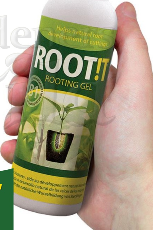ROOTING GEL ROOTIT propagation cuttings hydroponic horticulture cloning