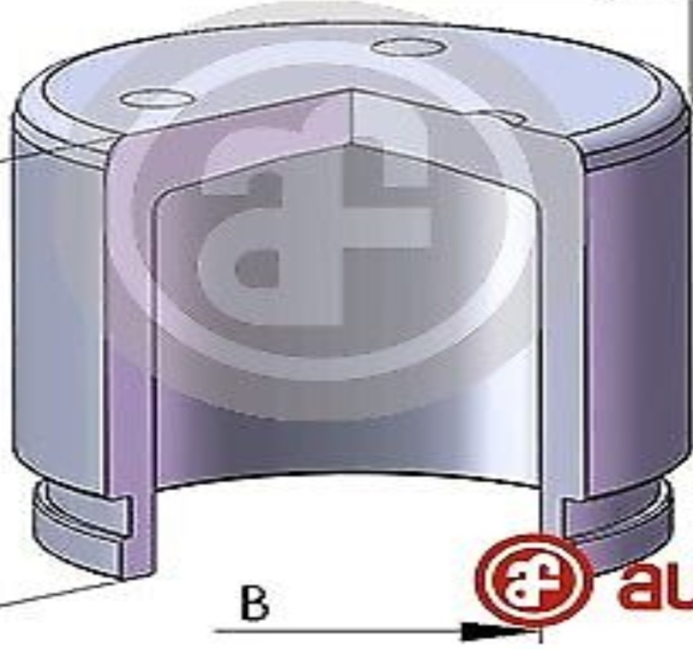 Brake caliper piston Front Axle Steel D025424 AUTOFREN SEINSA for CHEVROLET