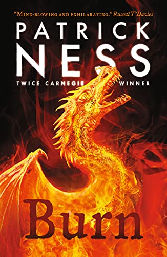 Burn: A highly original, page-turning YA fantasy featuring prejudice, revenge a - Image 6