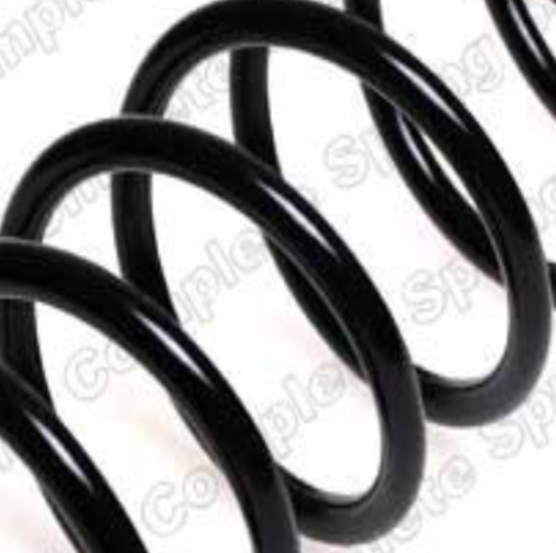 Rear LESJÖFORS 4227583 Suspension Spring for FORD
