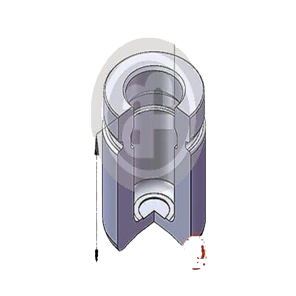 Rear AUTOFREN SEINSA D025518 Piston, brake caliper for BMW,CITROËN,FIAT,JAGUAR,L