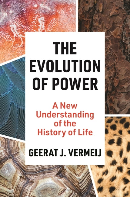 The Evolution of Power: A New Understanding of the History of Life by Geerat Ve - Image 3