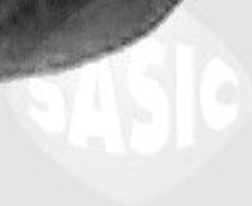 Cooling system hose Upper Right SWH6775 SASIC for OPEL ASTRA G Hatchback