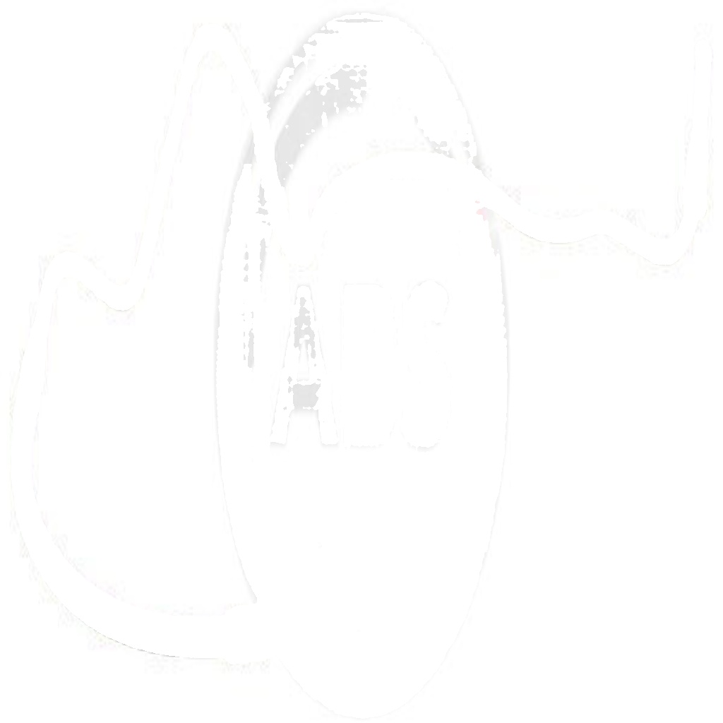 SL 5745 A.B.S. Brake Hose for AUDI,SEAT,SKODA,VW - Image 3