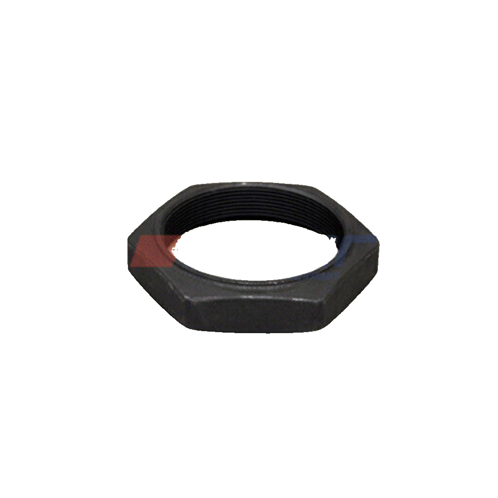 AUGER 56366 Nut, kingpin for RENAULT TRUCKS,VOLVO