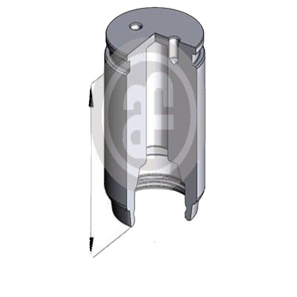 AUTOFREN SEINSA D02545 Piston, brake caliper for ,RENAULT