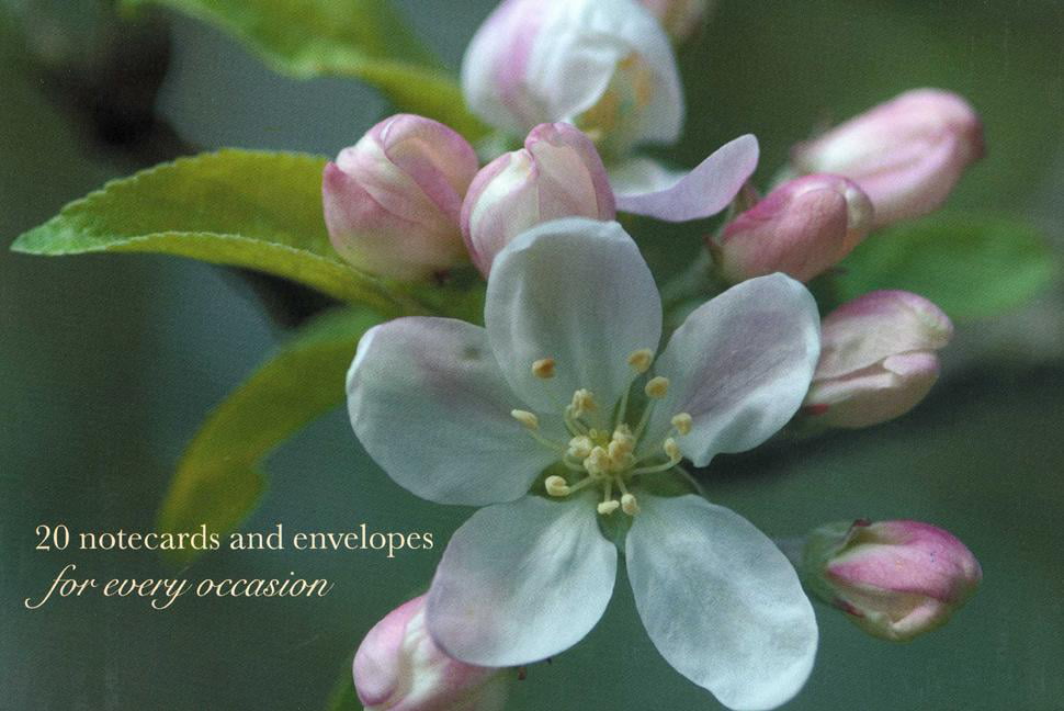 Cardbox of 20 Notecards and Envelopes: Apple Blossom by  Peon... - 9780754825807